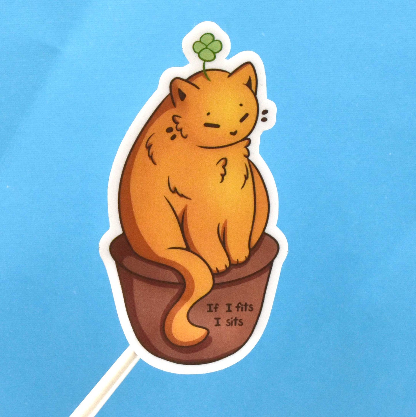 Cat If I Fits I Sits Sticker