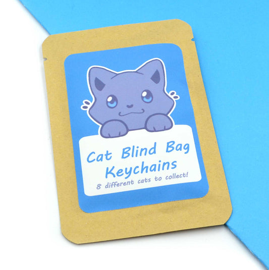 Blind Cat Keychain Bags