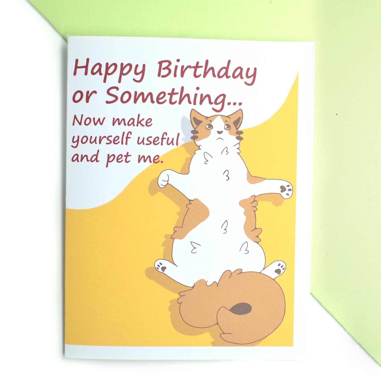 Funny Cat Birthday Card