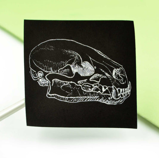 Animal Skull Sticker